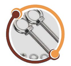 Hastelloy Material Eye Bolt